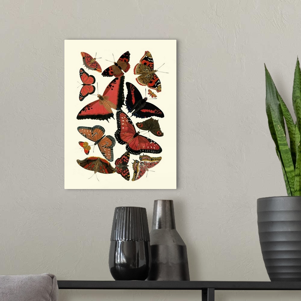 A modern room featuring Red Butterfly Study