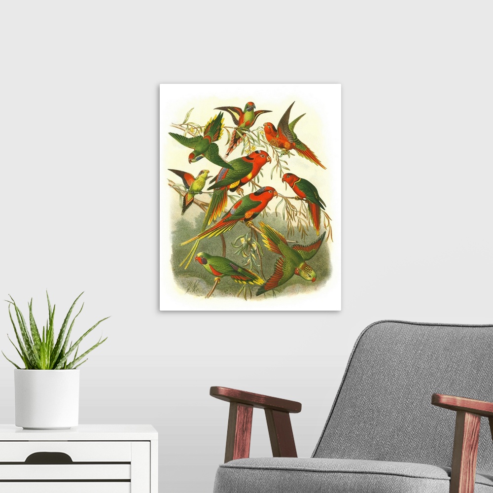 A modern room featuring Red Cassel Birds I