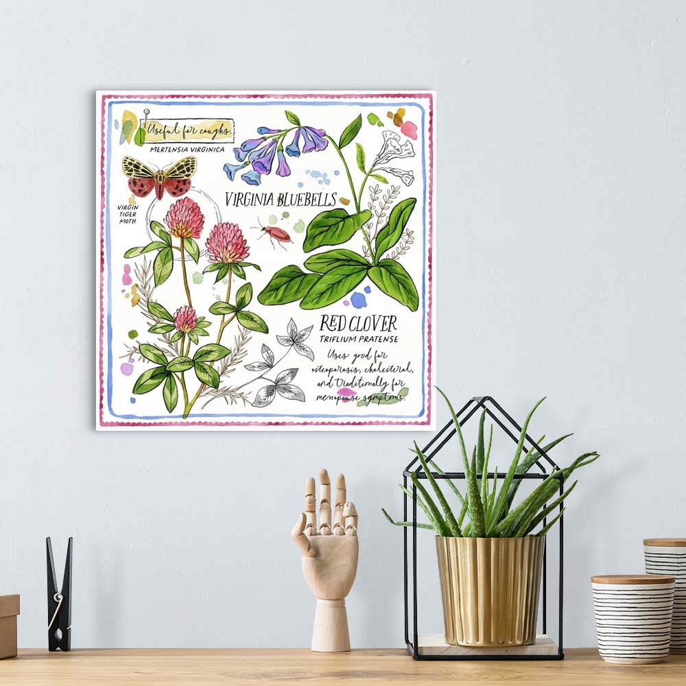 A bohemian room featuring Red Clover And Bluebells