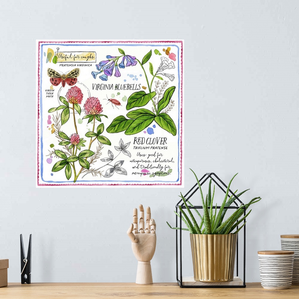 A bohemian room featuring Red Clover And Bluebells