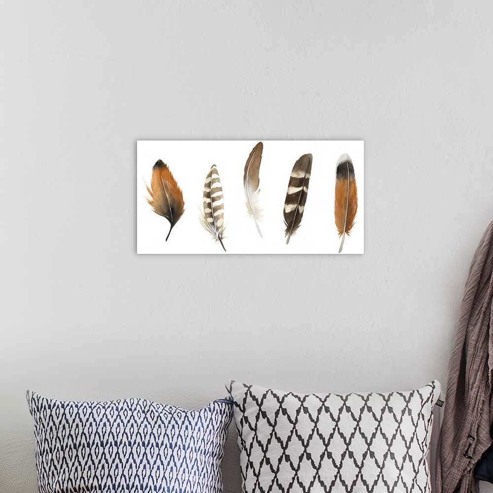 A bohemian room featuring An assortment of five patterned bird feathers.