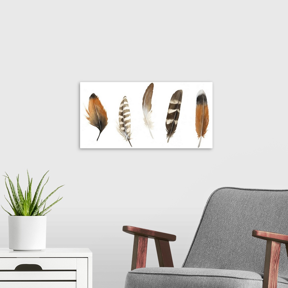 A modern room featuring An assortment of five patterned bird feathers.