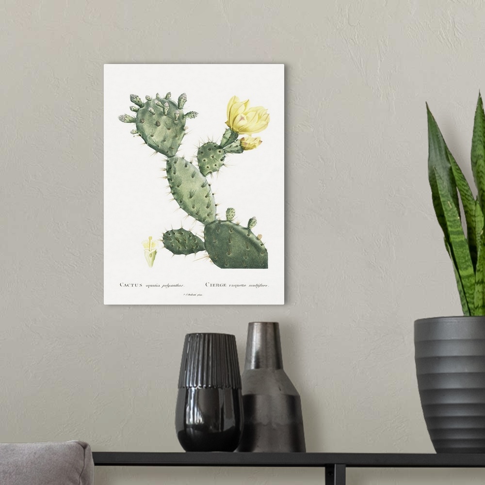 A modern room featuring Redoute Cactus I