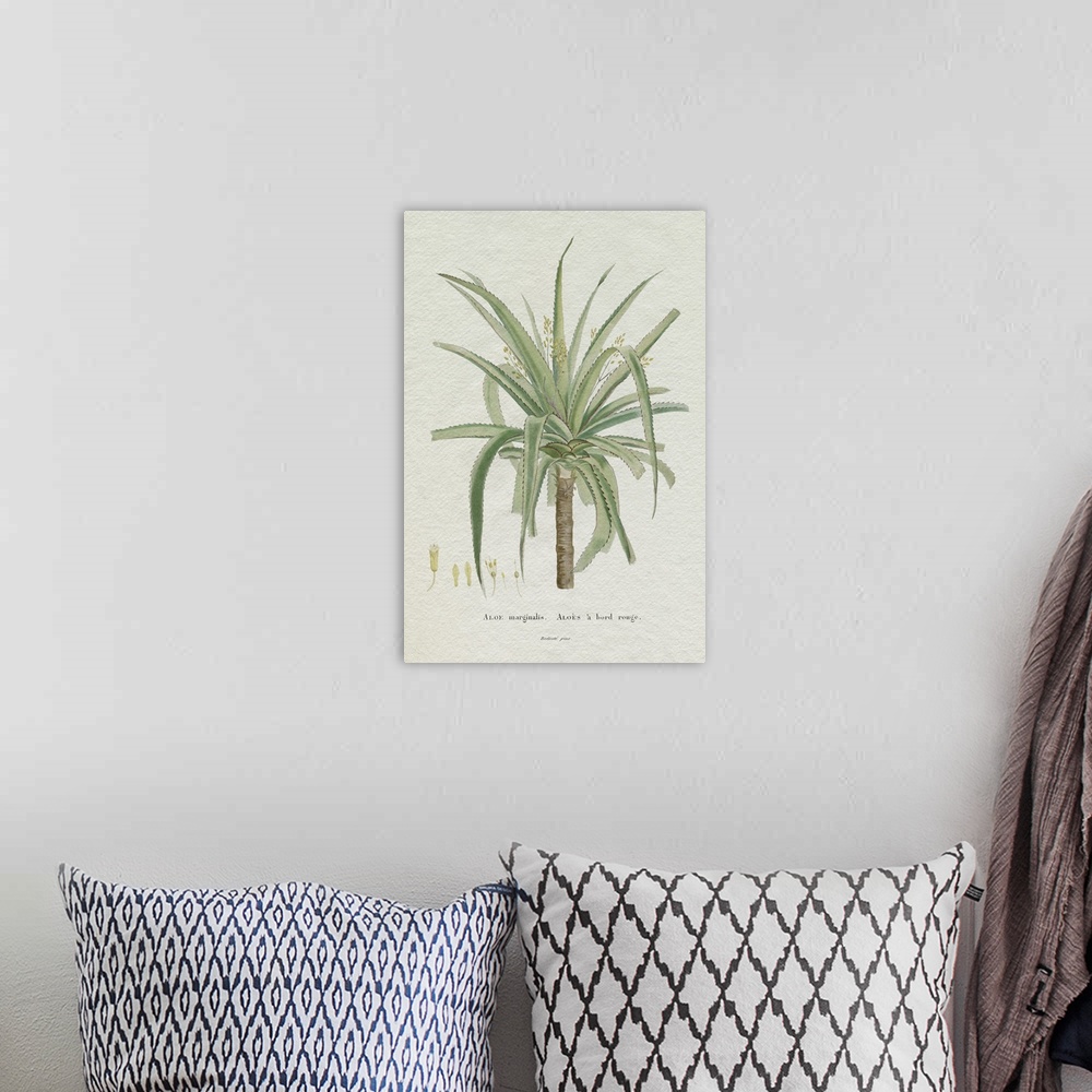 A bohemian room featuring Redoute Succulent II