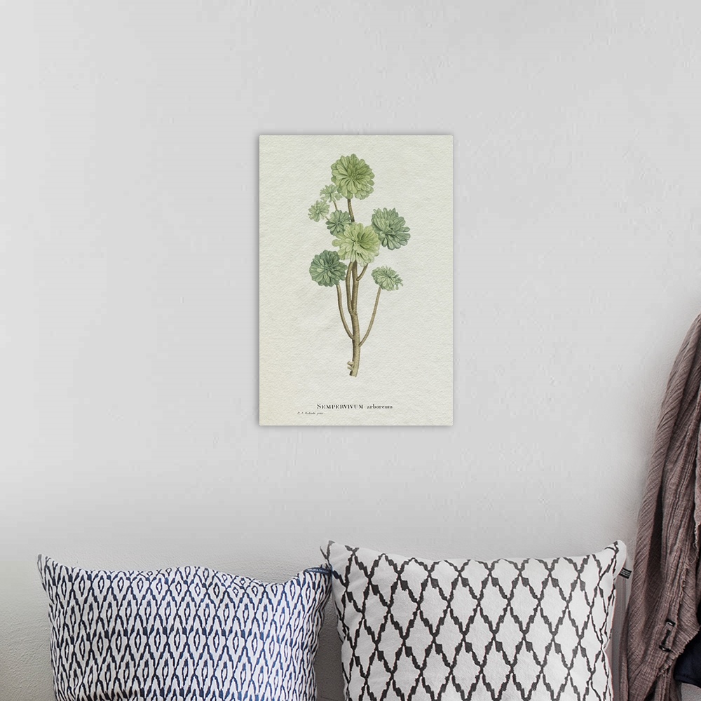 A bohemian room featuring Redoute Succulent III