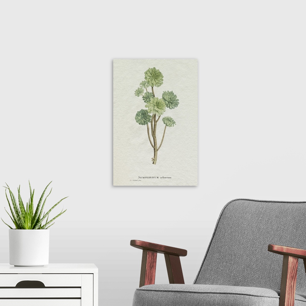 A modern room featuring Redoute Succulent III