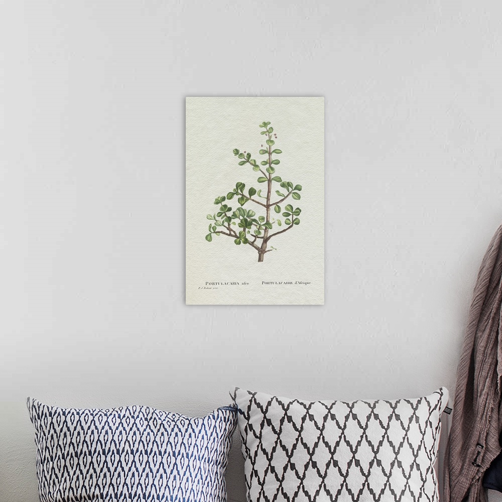 A bohemian room featuring Redoute Succulent IV