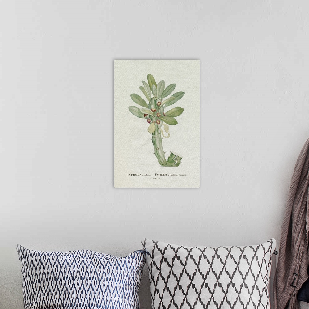 A bohemian room featuring Redoute Succulent VI