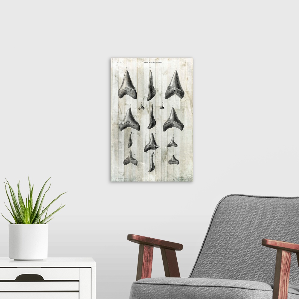 A modern room featuring Contemporary artwork of illustrated shark teeth in a vintage style.