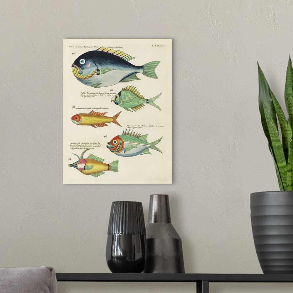 A modern room featuring Renard Tropical Fish I