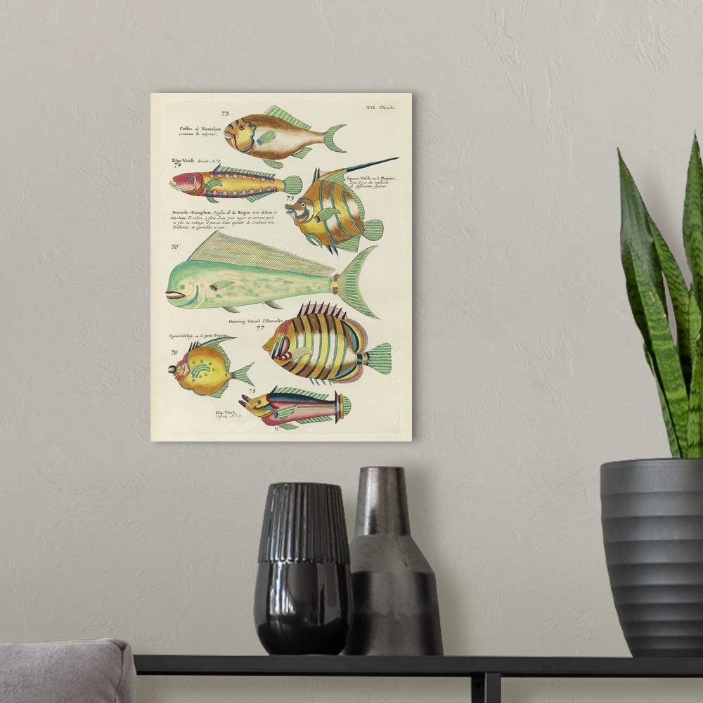 A modern room featuring Renard Tropical Fish II