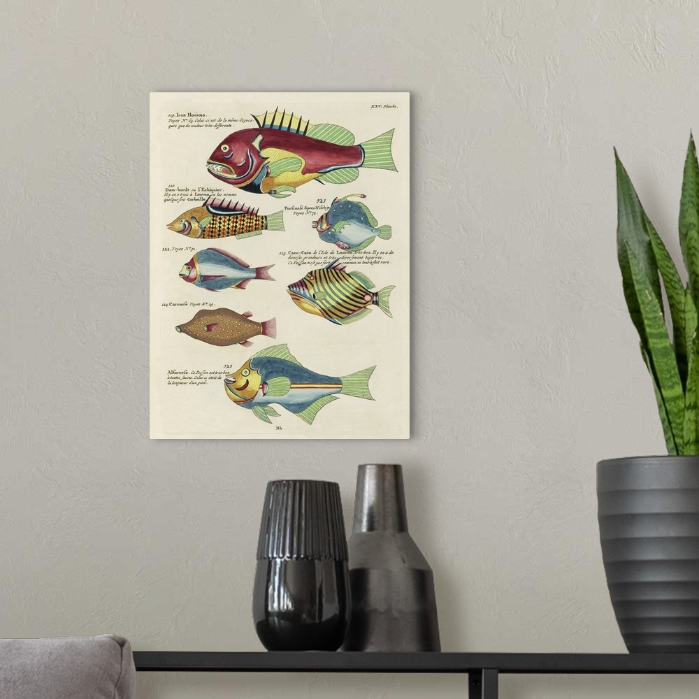 A modern room featuring Renard Tropical Fish III