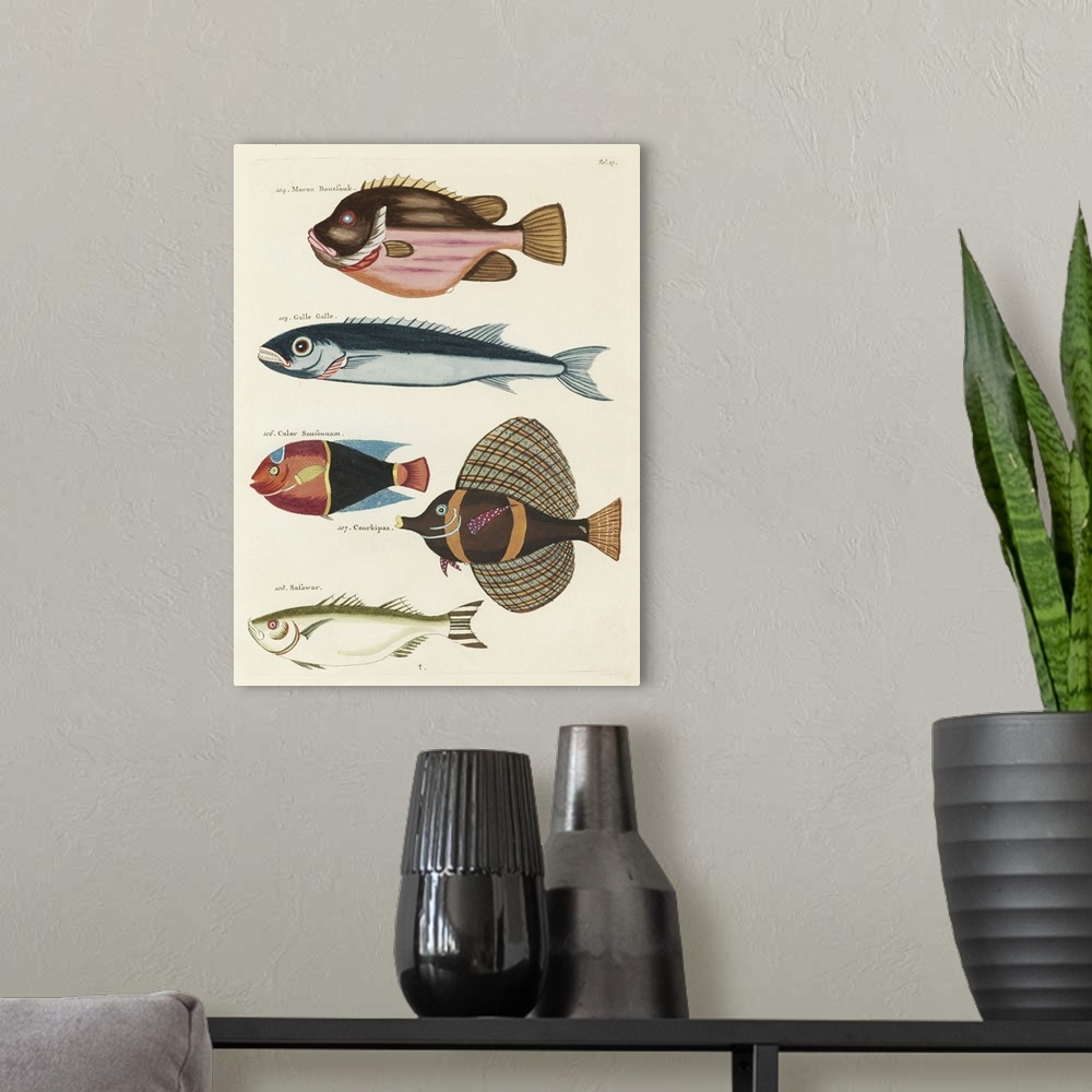 A modern room featuring Renard Tropical Fish IV