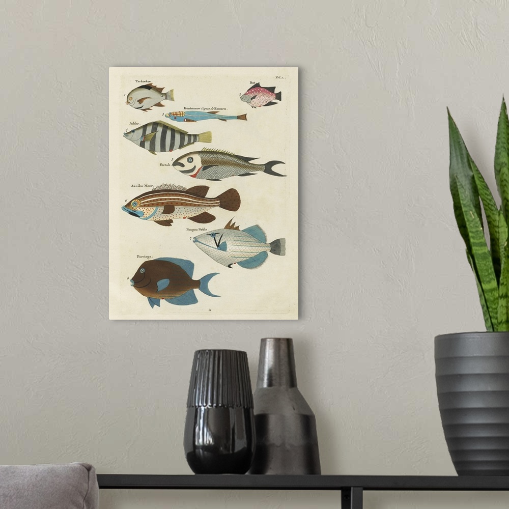A modern room featuring Renard Tropical Fish V