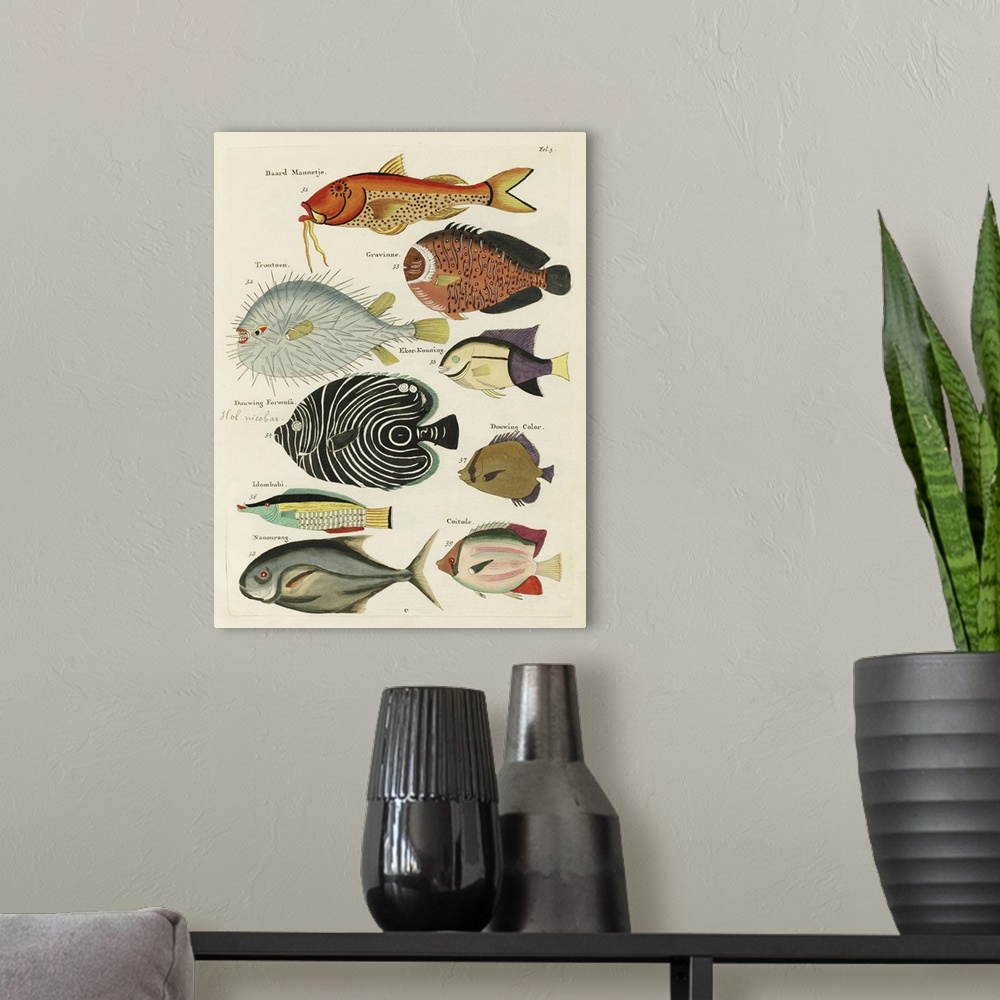 A modern room featuring Renard Tropical Fish VI