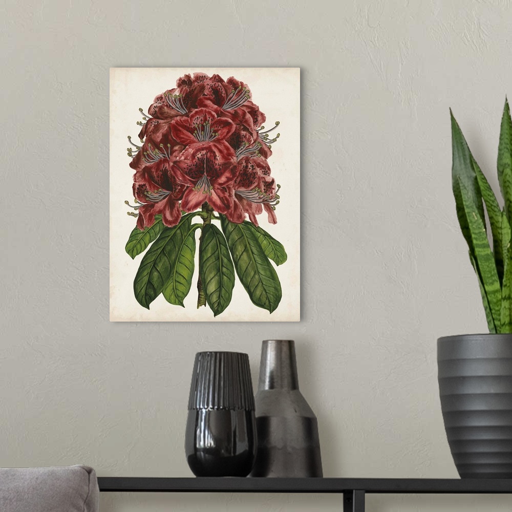 A modern room featuring Rhododendron Study II