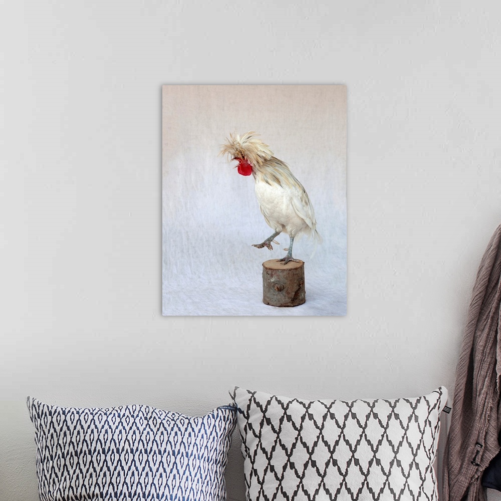 A bohemian room featuring Rod The Rooster IV