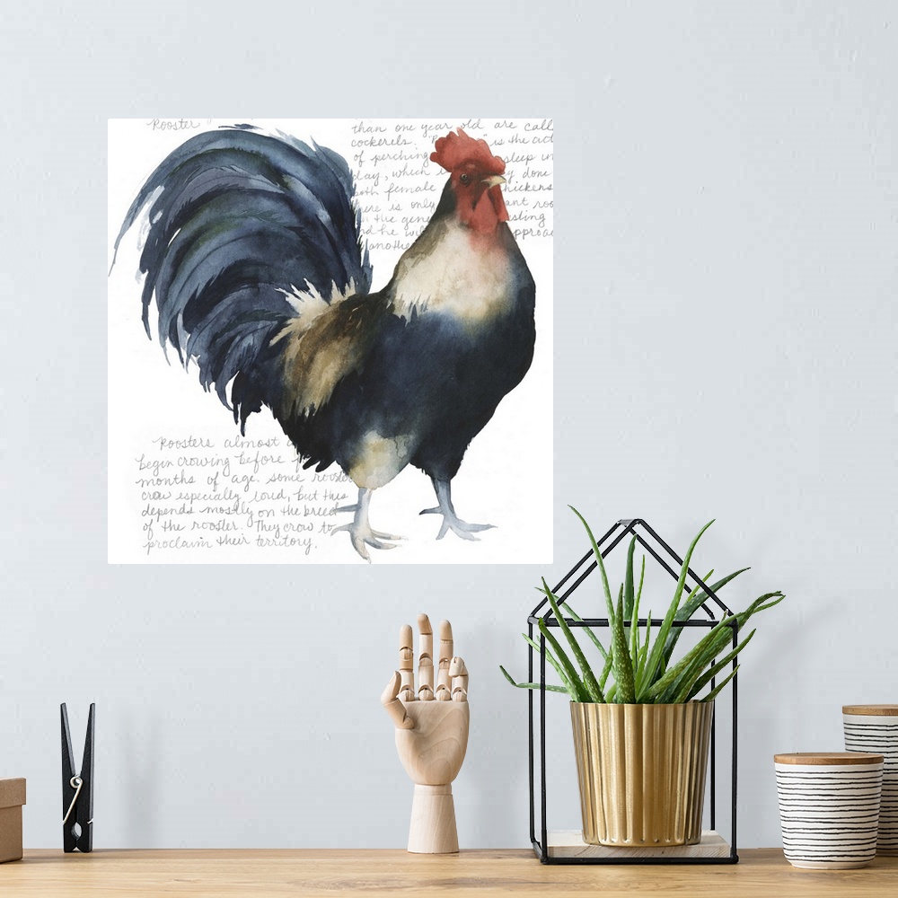 A bohemian room featuring Watercolor painting of a proud rooster, with handwritten text.