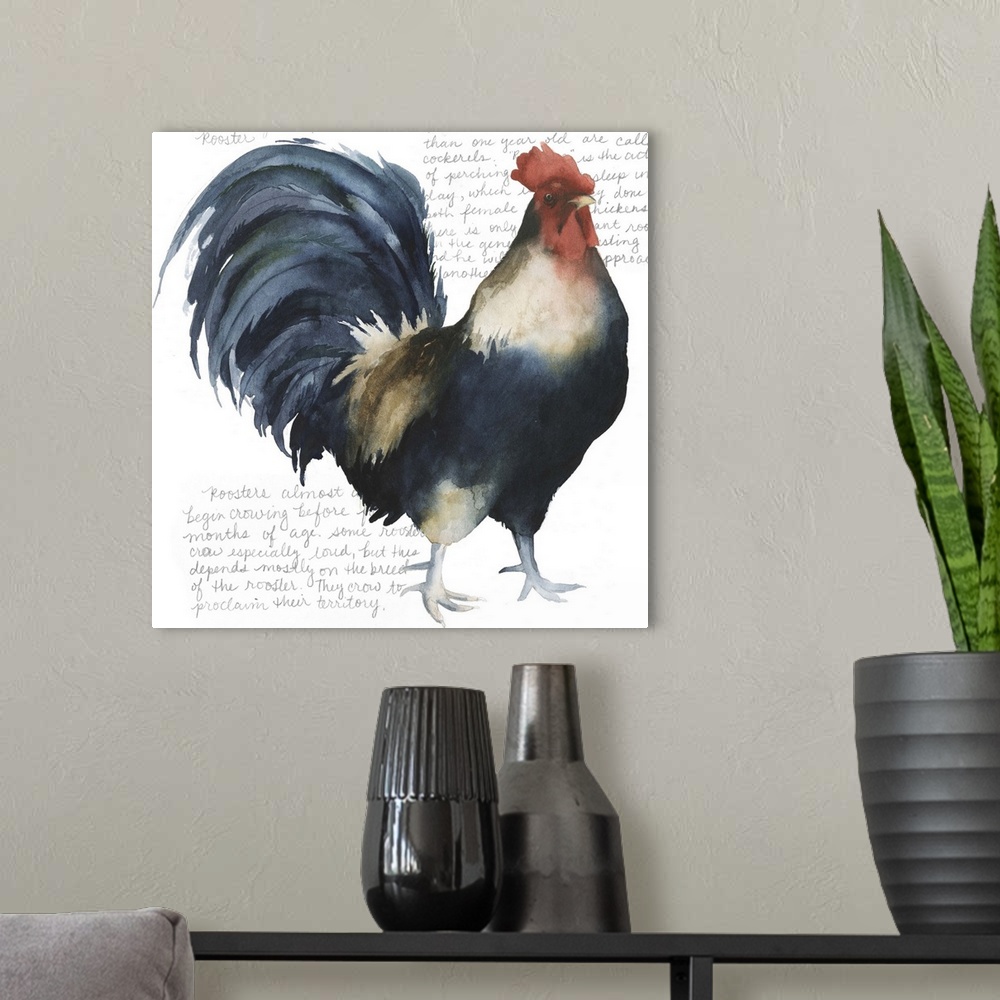 A modern room featuring Watercolor painting of a proud rooster, with handwritten text.