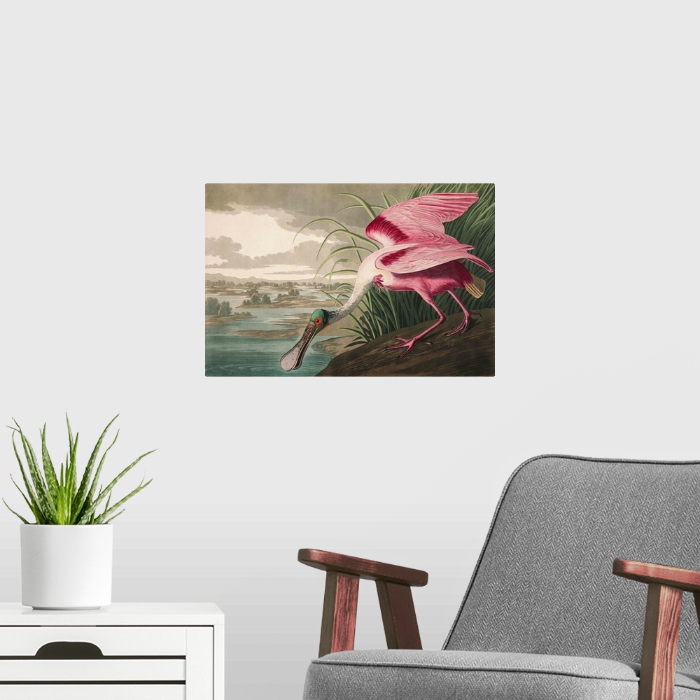 A modern room featuring Roseate Spoonbill