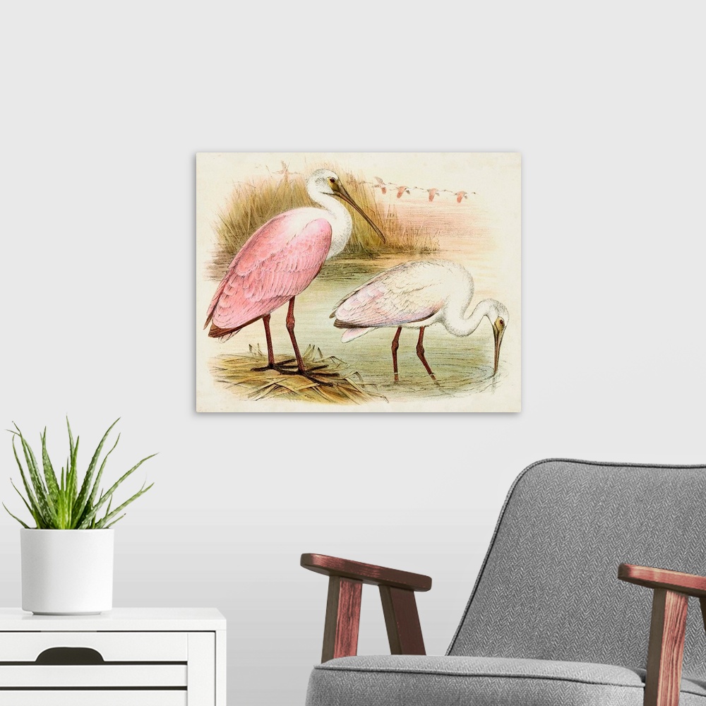 A modern room featuring Roseate Spoonbills I