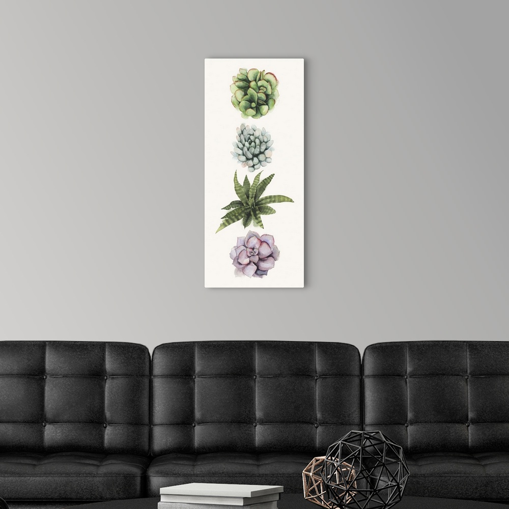 A modern room featuring Row of Succulents II