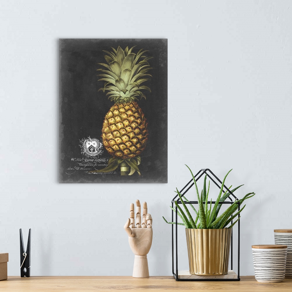 A bohemian room featuring Royal Brookshaw Pineapple I