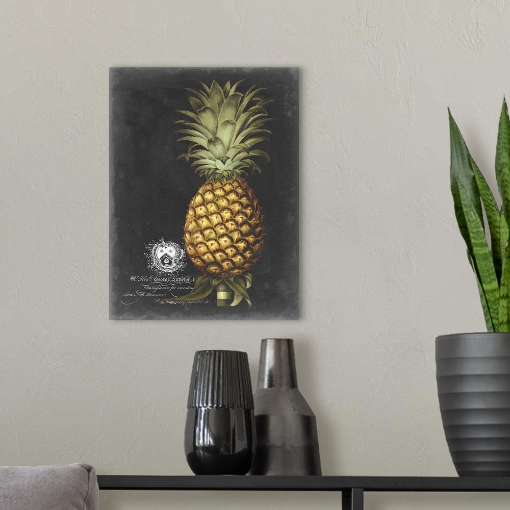 A modern room featuring Royal Brookshaw Pineapple I