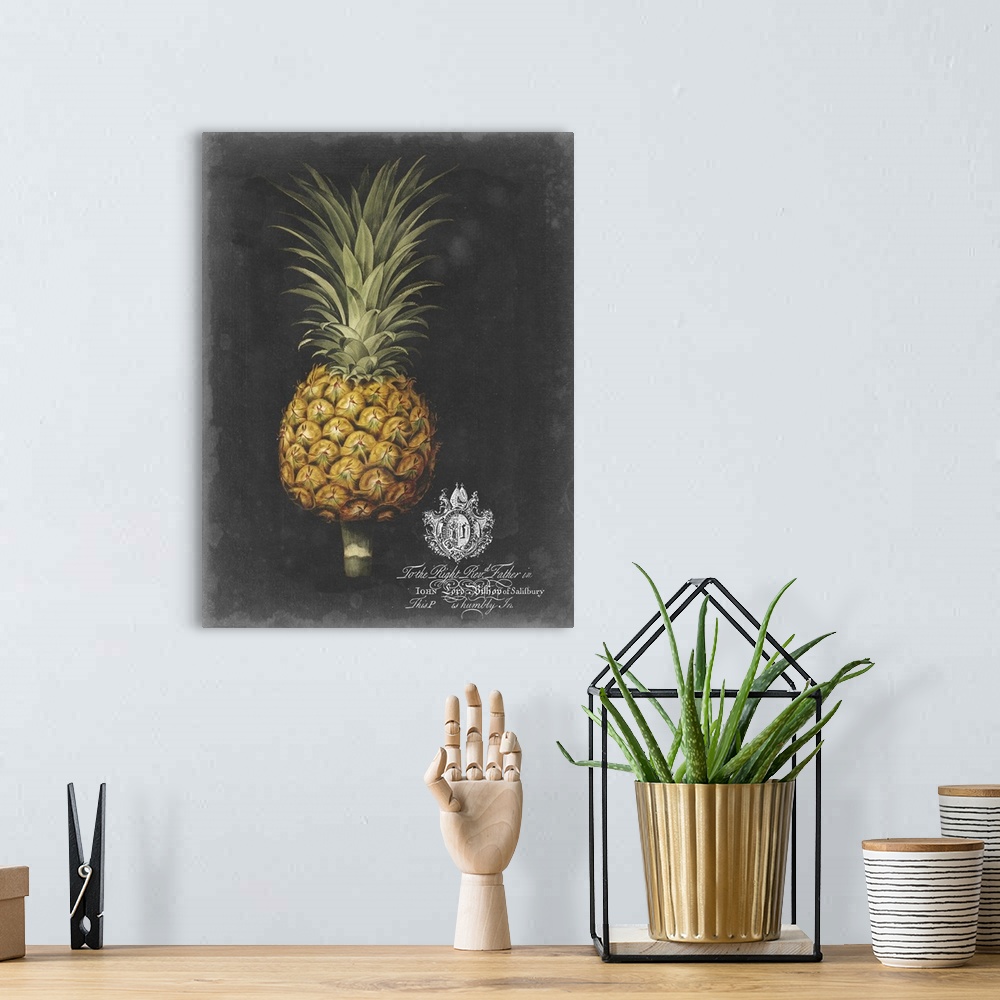 A bohemian room featuring Royal Brookshaw Pineapple II