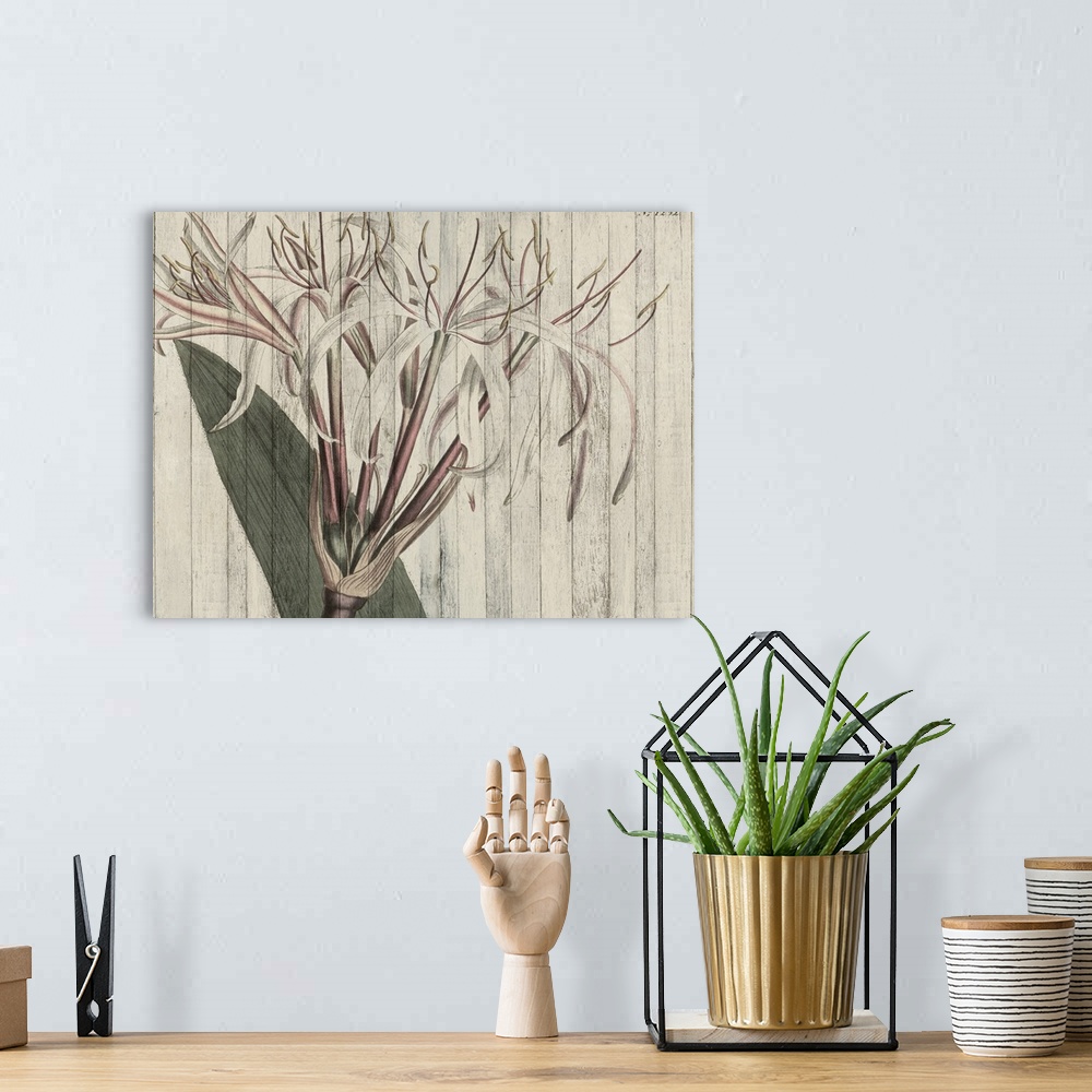 A bohemian room featuring Contemporary artwork of botanical illustration overlaid vertical shiplap.
