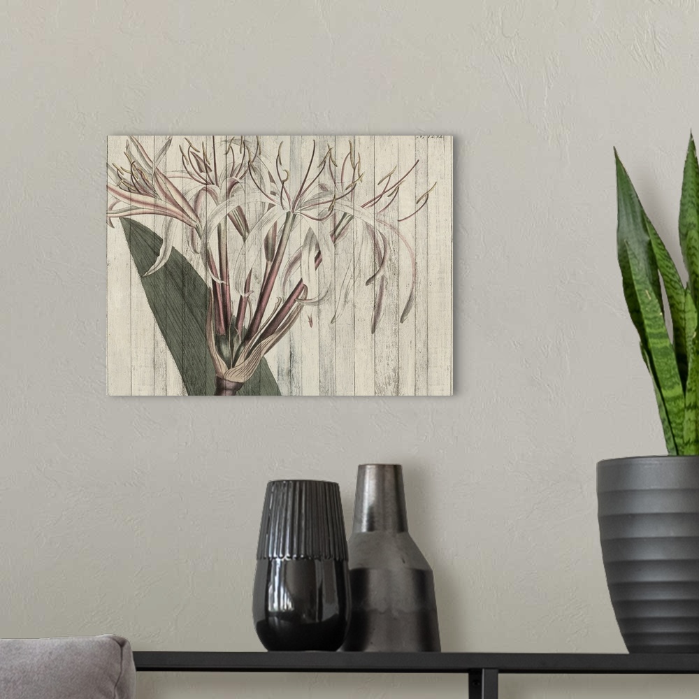 A modern room featuring Contemporary artwork of botanical illustration overlaid vertical shiplap.