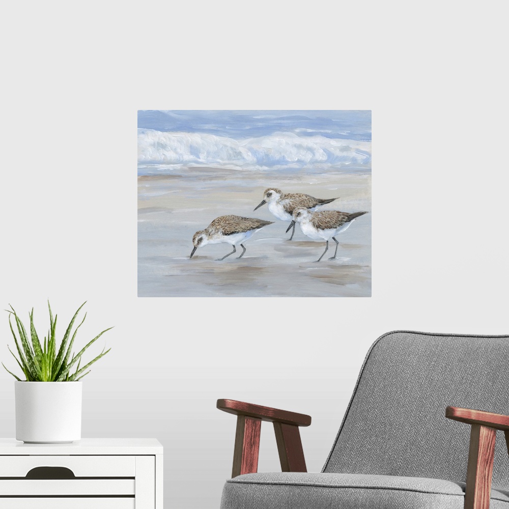 A modern room featuring Sandpipers II