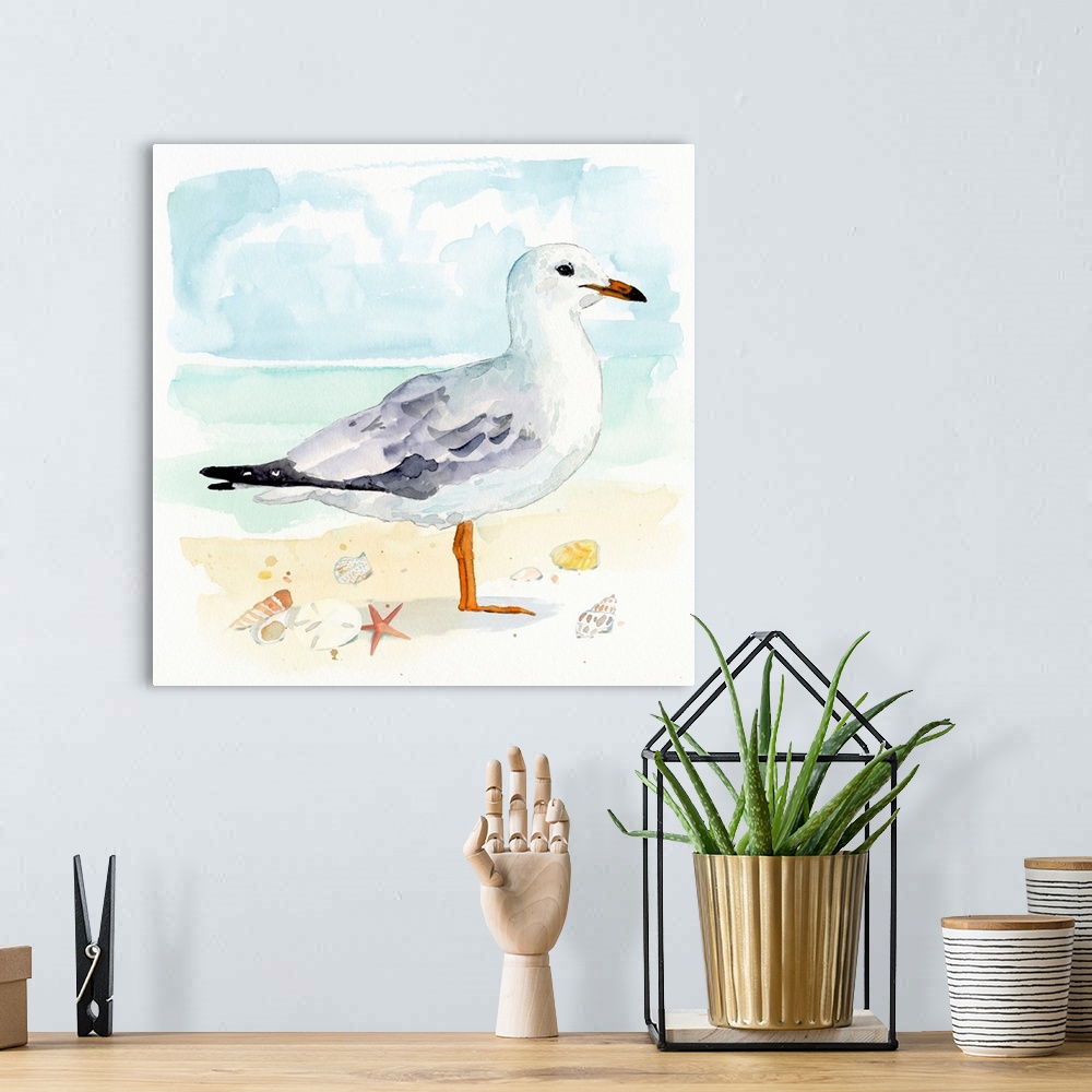 A bohemian room featuring Sandy The Seagull Il