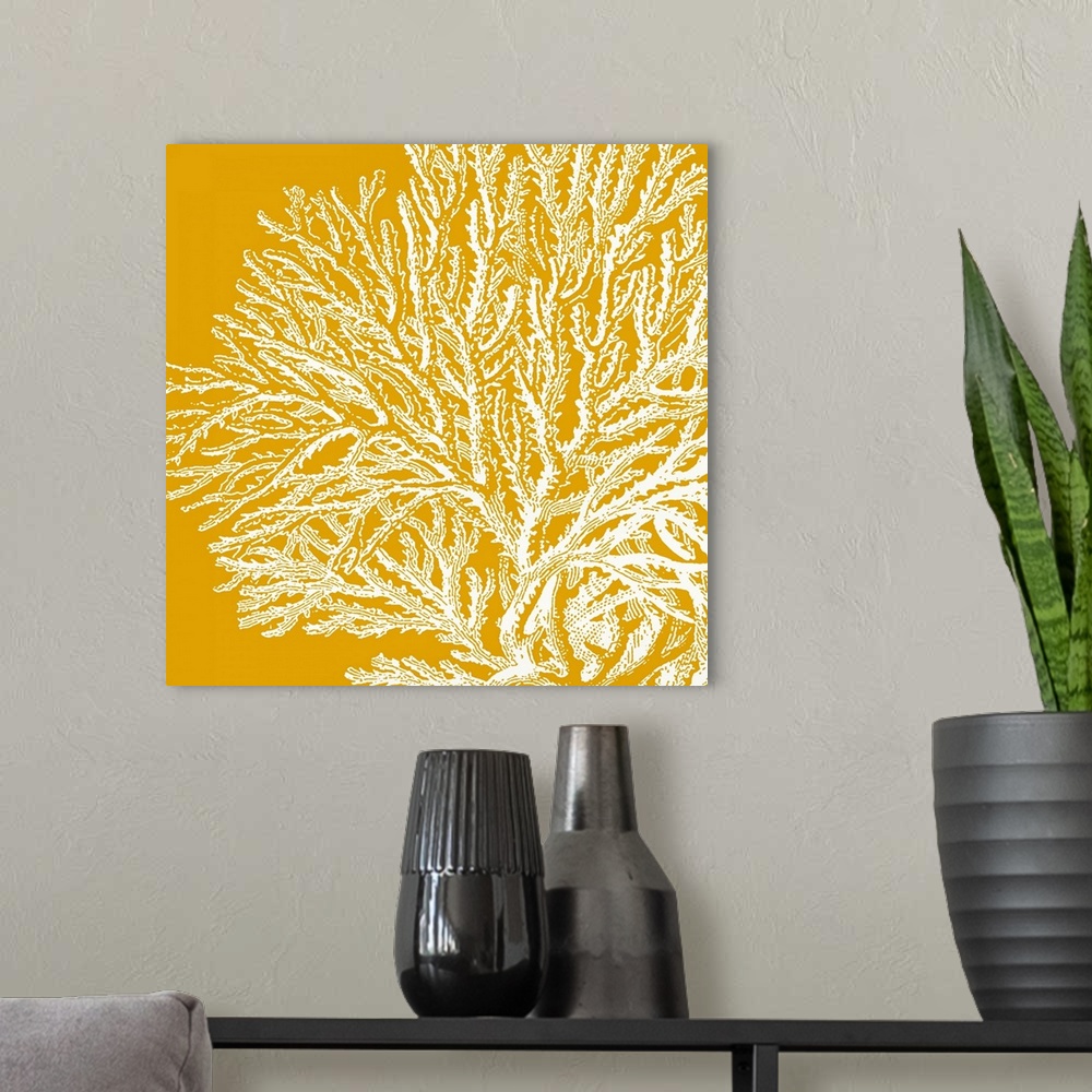 A modern room featuring Square canvas with the outline of a coral plant on top of a vivid solid background.