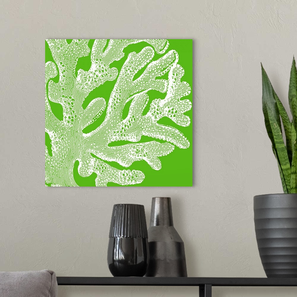A modern room featuring Up-close stencil illustration of a piece of coral.