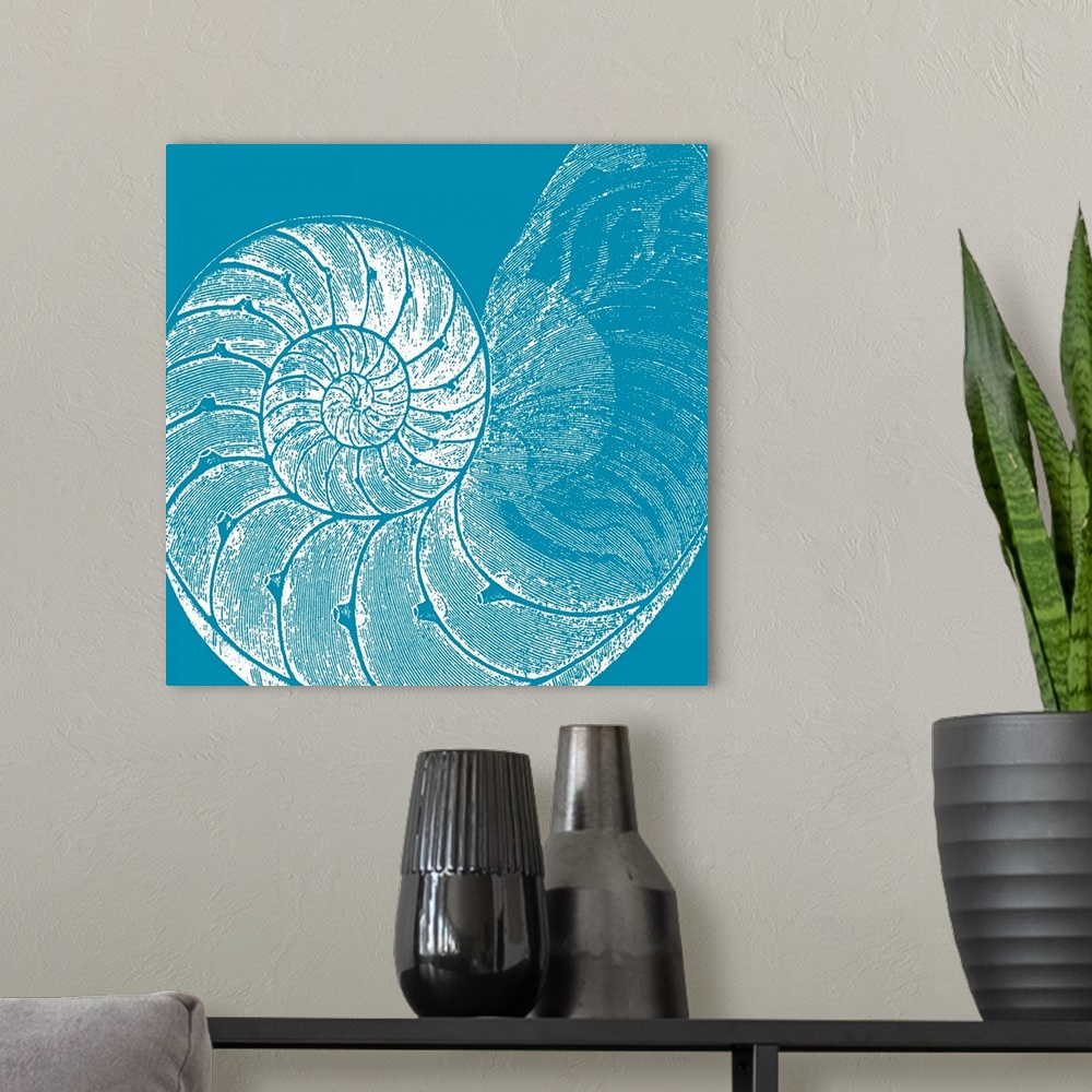 A modern room featuring This large square piece is a drawing of a coiled shell against a cool colored background.