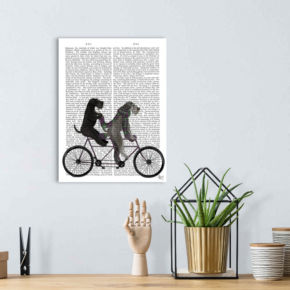 A bohemian room featuring Decorative artwork of two Schnauzers riding on a tandem bicycle, painted on the page of a book.