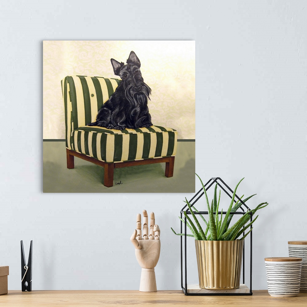 A bohemian room featuring Scottie on Stripes