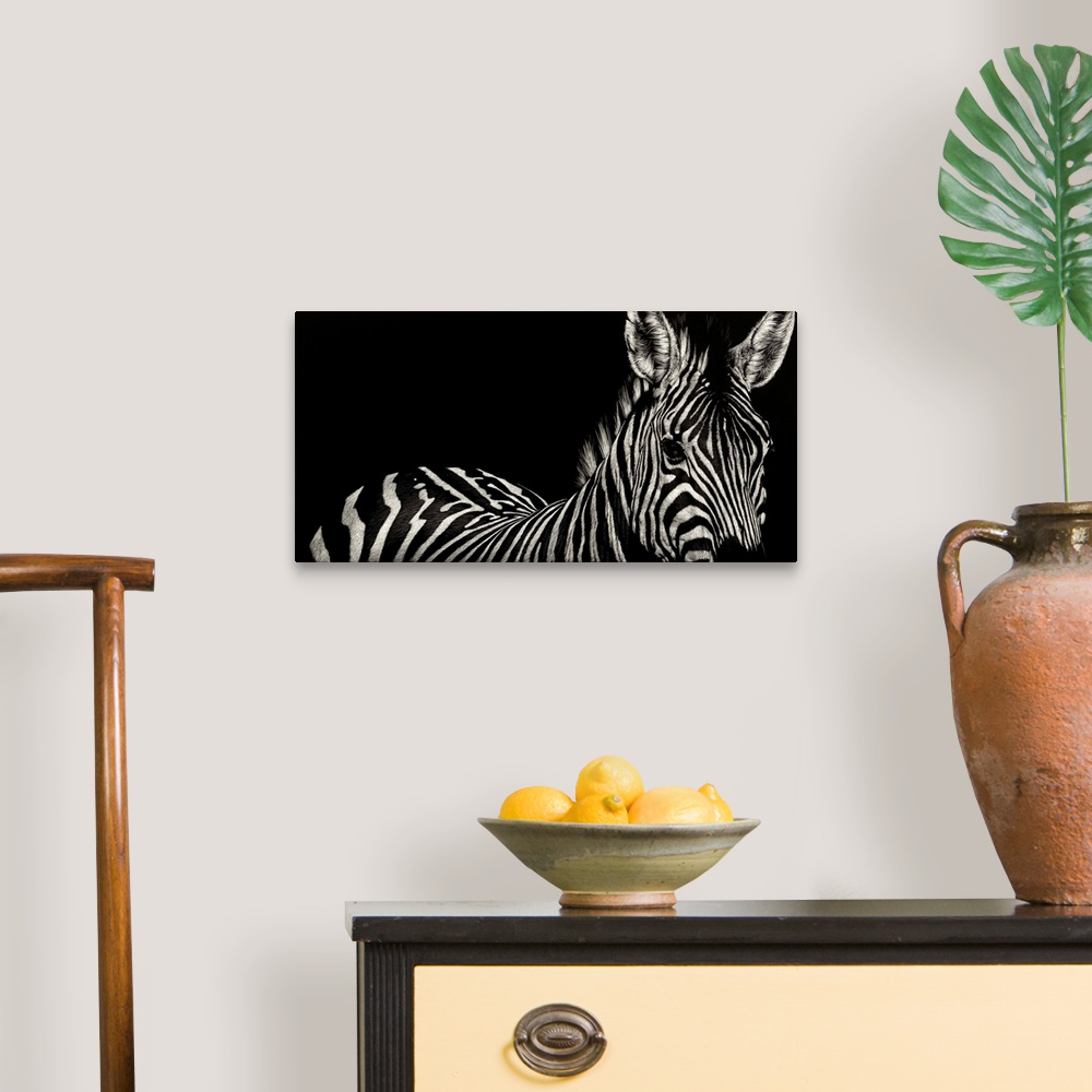 A traditional room featuring Contemporary scratchboard artwork of a zebra, emphasizing its stripes.