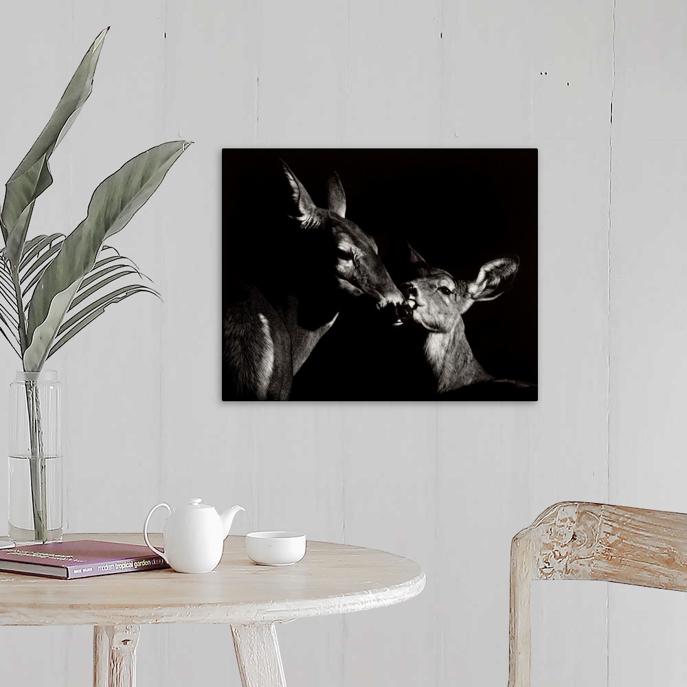 A farmhouse room featuring Contemporary scratchboard artwork of a mother deer nuzzling her young fawn.