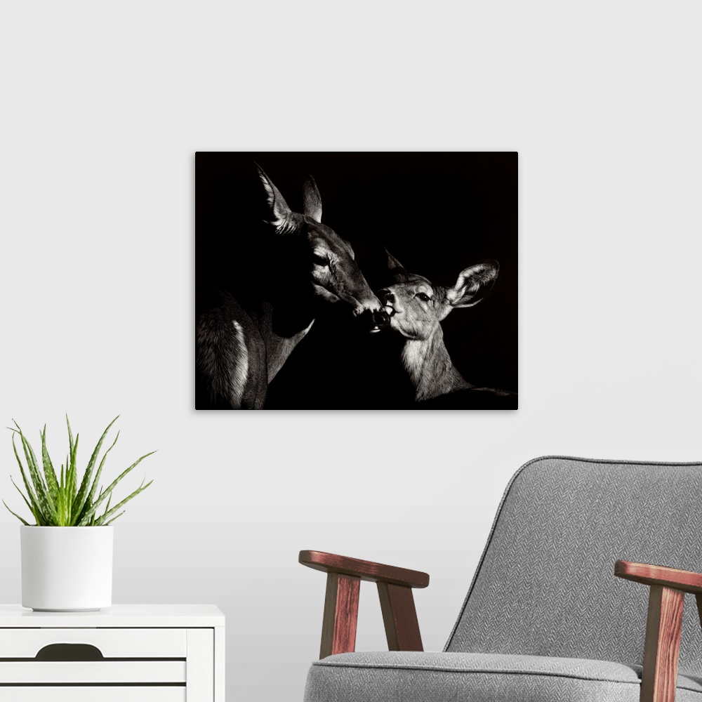 A modern room featuring Contemporary scratchboard artwork of a mother deer nuzzling her young fawn.
