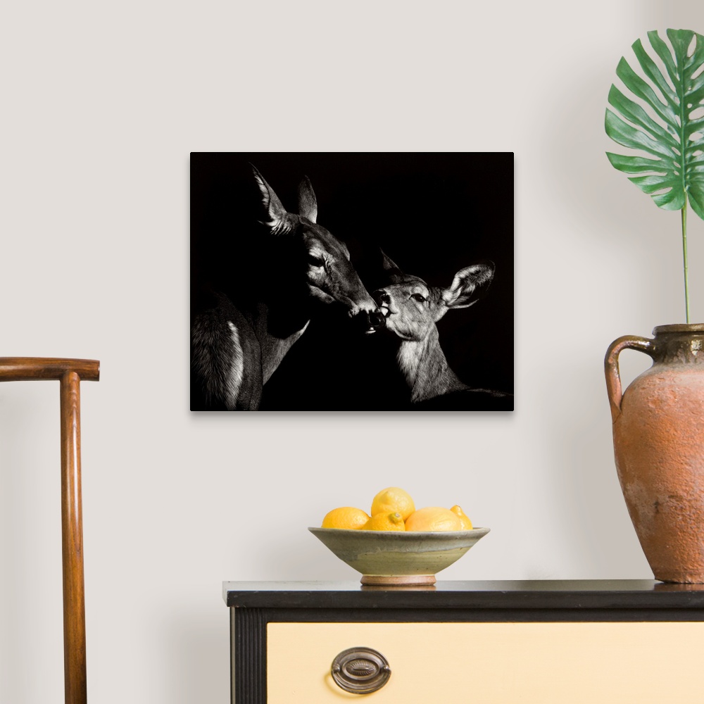 A traditional room featuring Contemporary scratchboard artwork of a mother deer nuzzling her young fawn.
