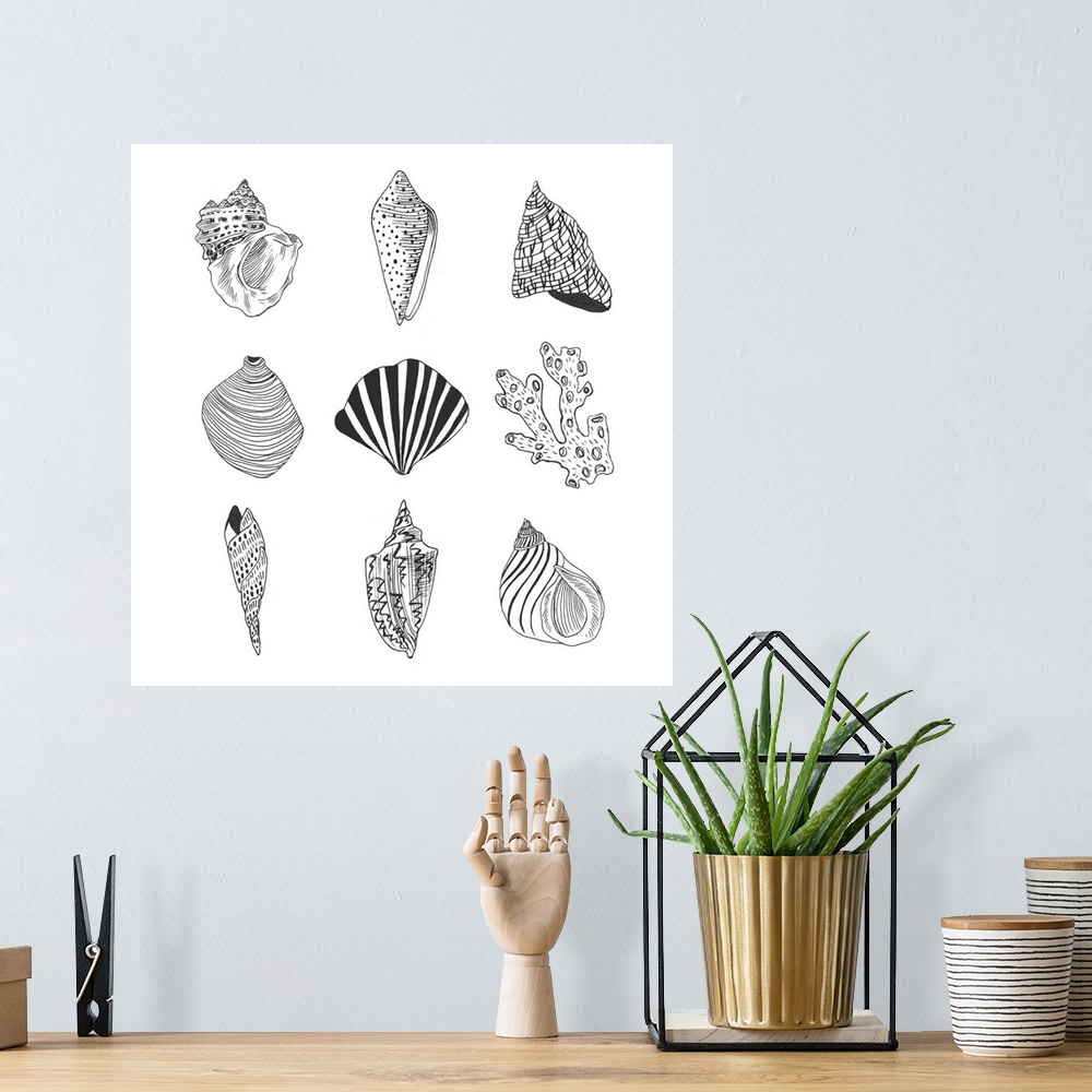 A bohemian room featuring Black and white illustrations of a variety of shells.