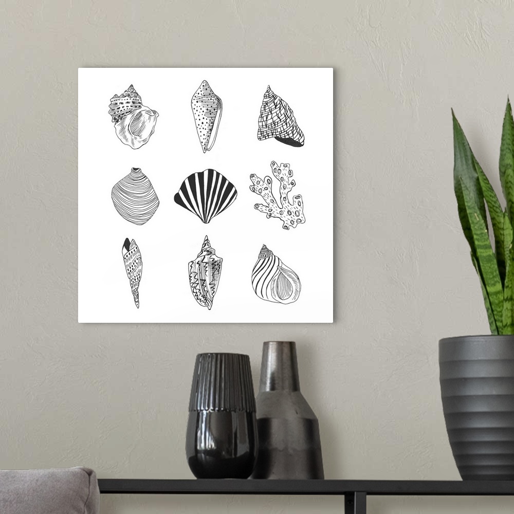 A modern room featuring Black and white illustrations of a variety of shells.
