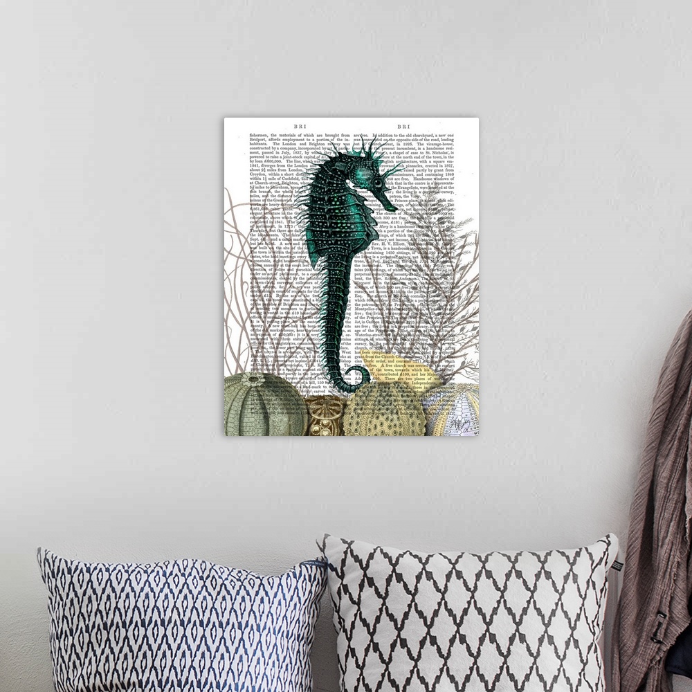 A bohemian room featuring SeaHorse and Sea Urchins
