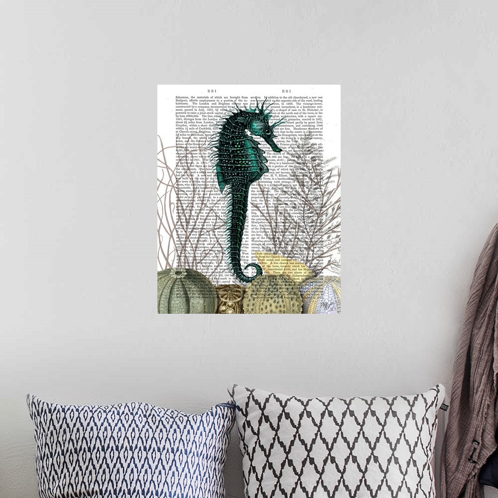 A bohemian room featuring SeaHorse and Sea Urchins