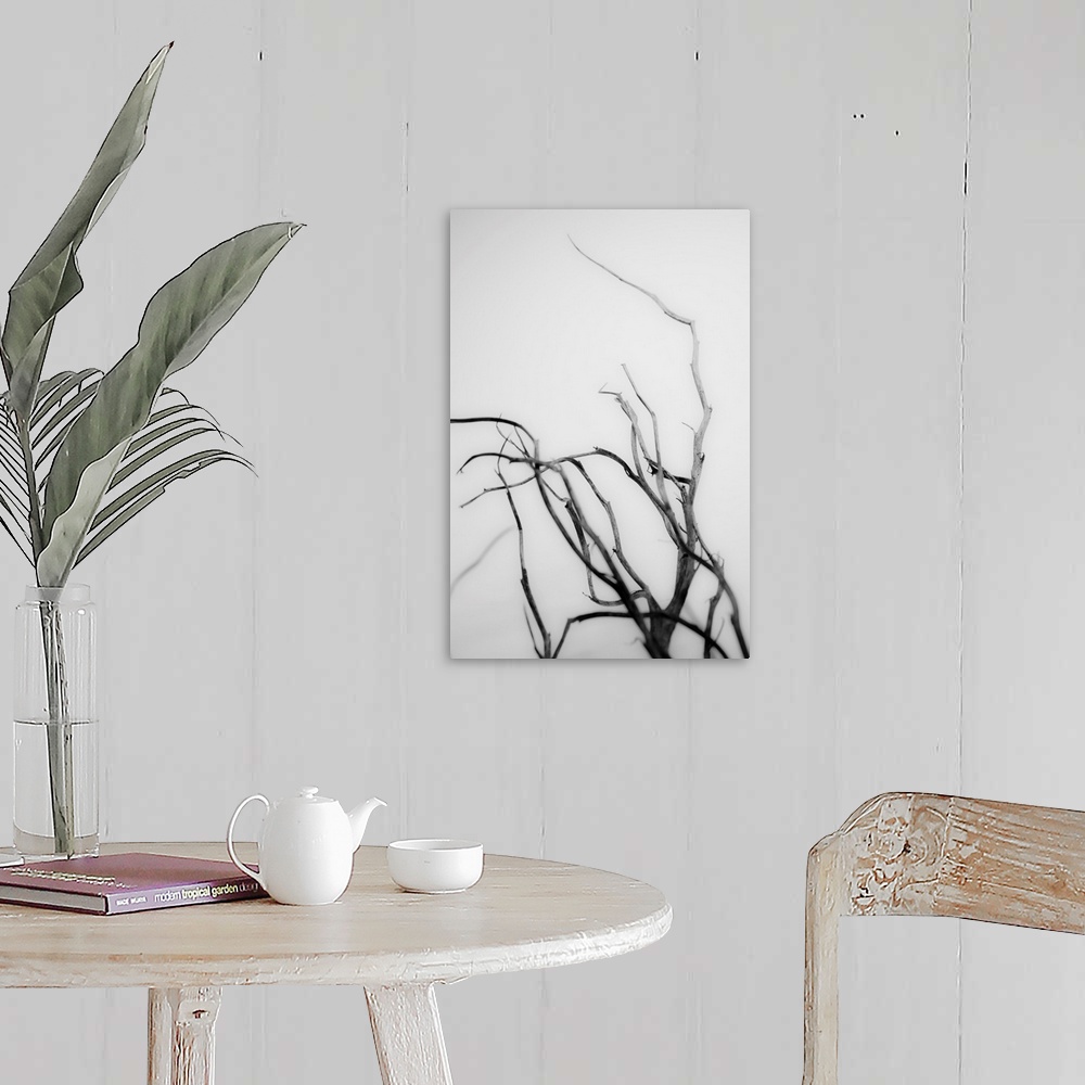 A farmhouse room featuring Searching Branches II