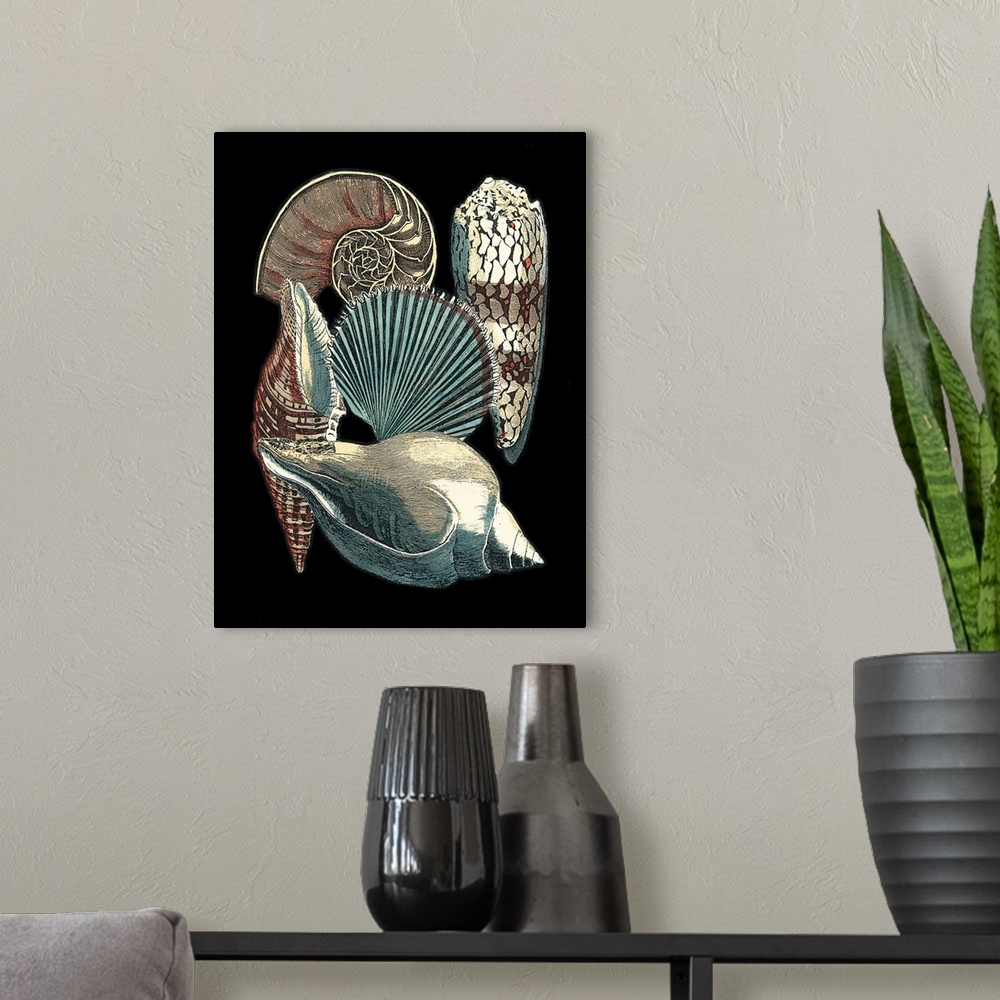 A modern room featuring Seashell Anthology II