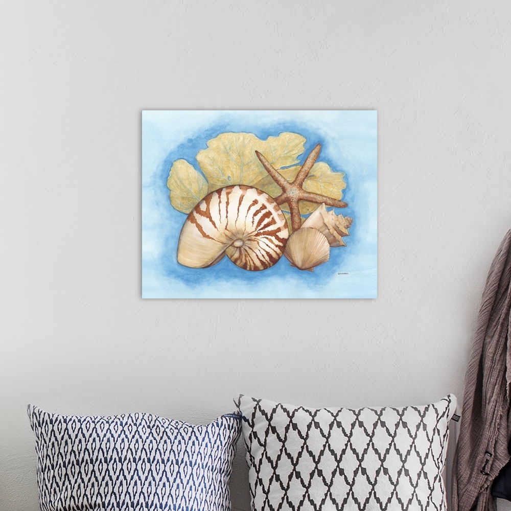 A bohemian room featuring Seashells and Seafan I