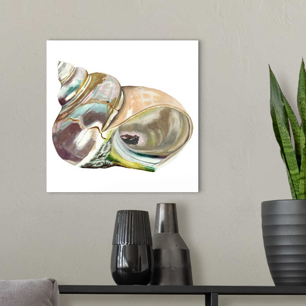 A modern room featuring Detailed painting of a spiral seashell.